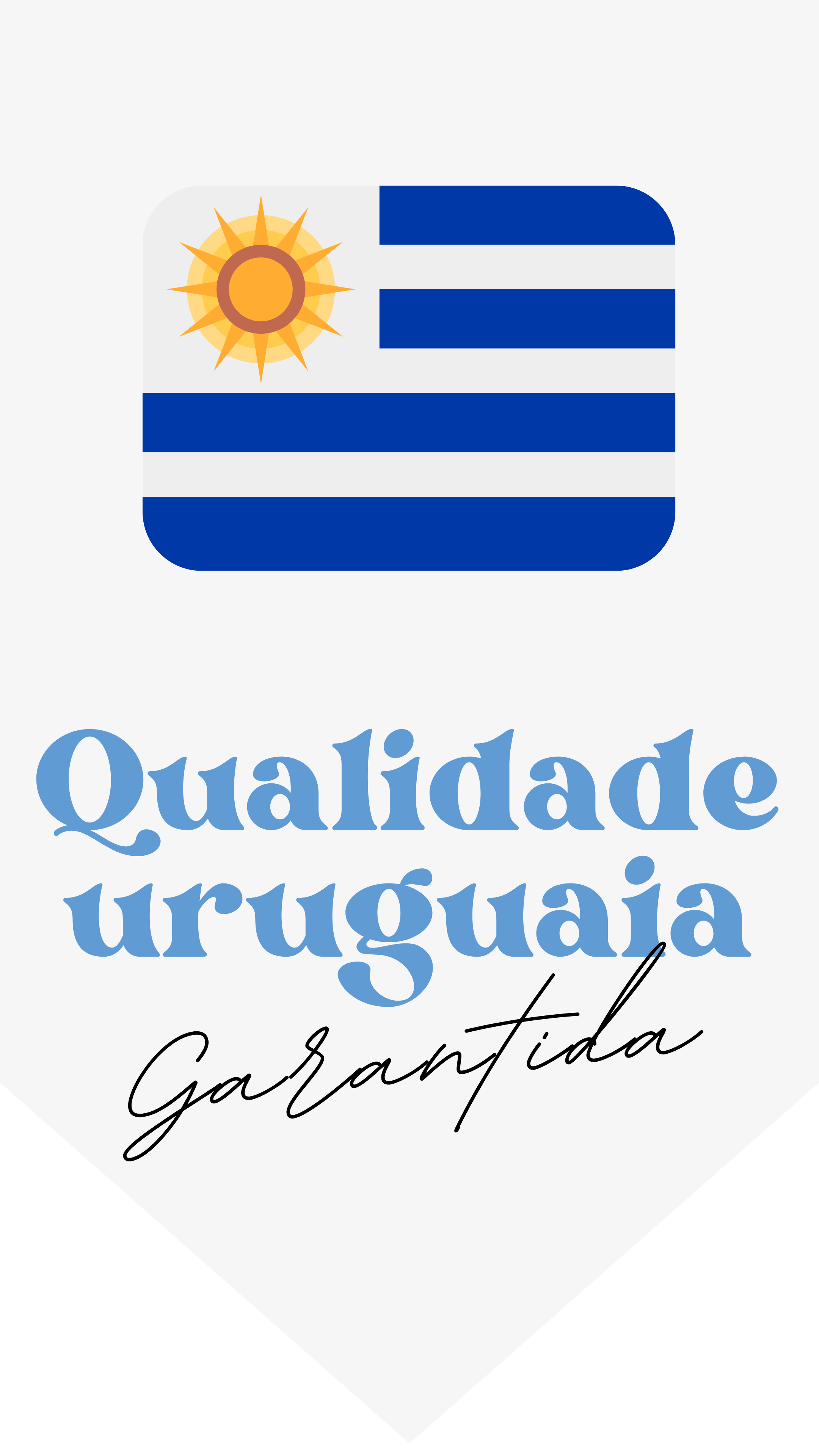 Bandeira do Uruguai — tradição uruguaia da WeWash
